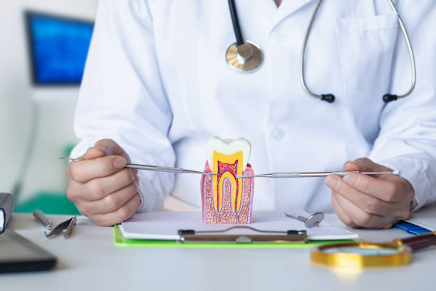 Best Urgent Dental Care for Toothache in Bushnell, IL